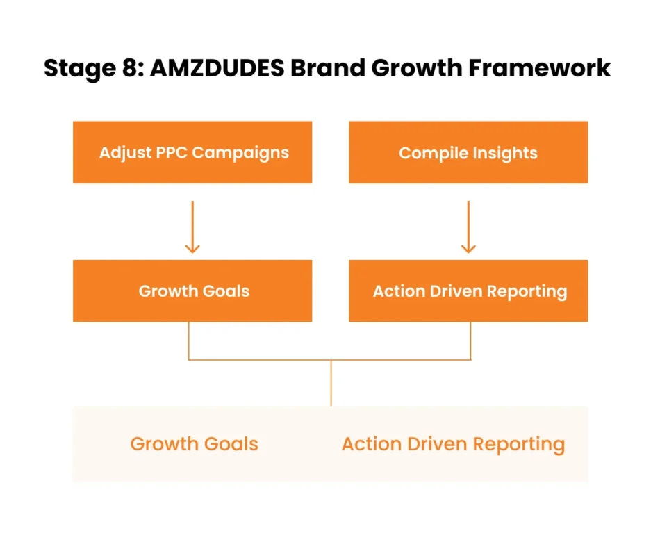 image showing stage 8 of AMZDUDES brand growth framework